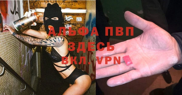 МДПВ Рославль